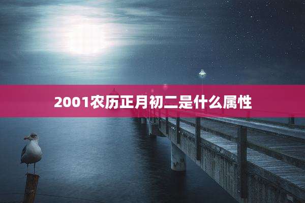 2001农历正月初二是什么属性