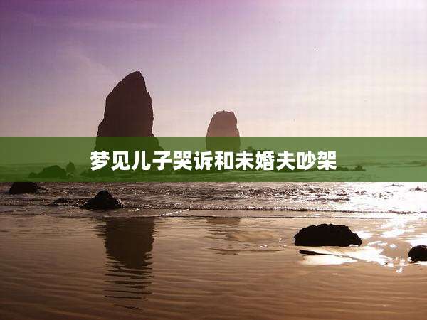 梦见儿子哭诉和未婚夫吵架