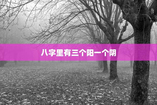 八字里有三个阳一个阴