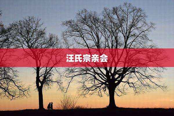 汪氏宗亲会