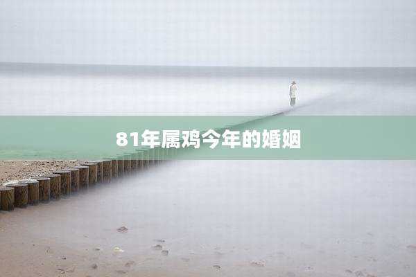 81年属鸡今年的婚姻