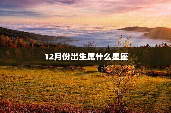 12月份出生属什么星座
