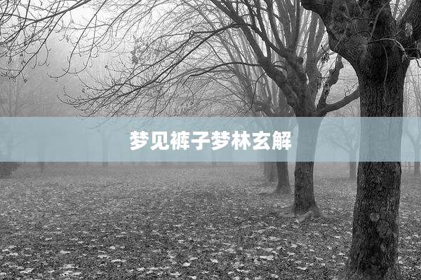 梦见裤子梦林玄解