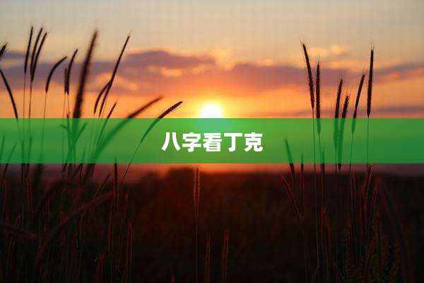 八字看丁克