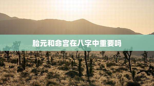 胎元和命宫在八字中重要吗