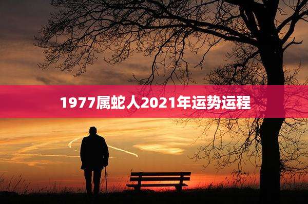 1977属蛇人2021年运势运程