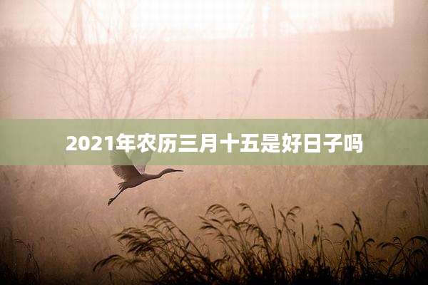 2021年农历三月十五是好日子吗
