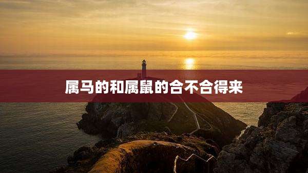 属马的和属鼠的合不合得来