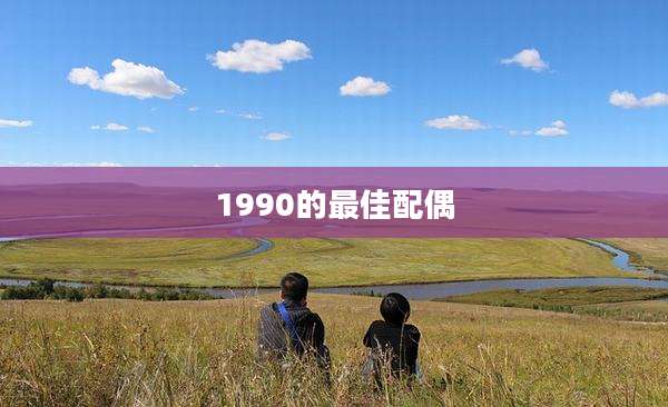 1990的最佳配偶