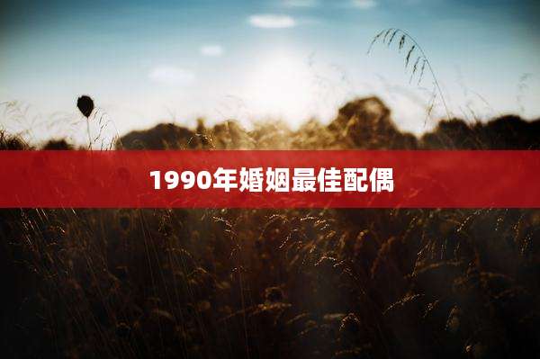 1990年婚姻最佳配偶