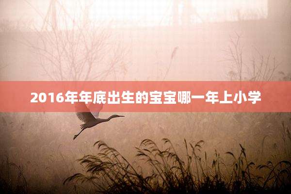 2016年年底出生的宝宝哪一年上小学