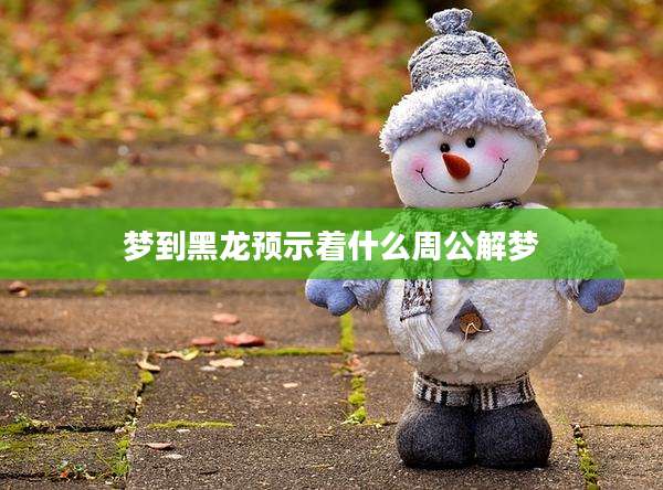 梦到黑龙预示着什么周公解梦
