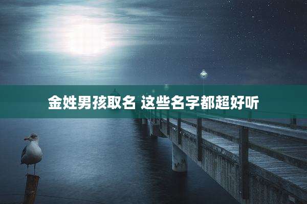 金姓男孩取名 这些名字都超好听
