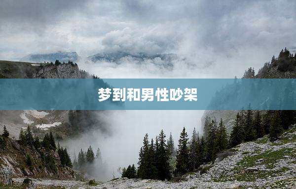 梦到和男性吵架