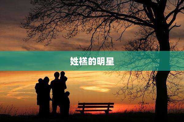 姓禚的明星