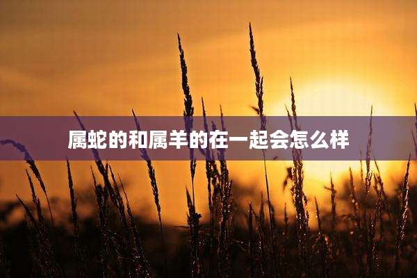 属蛇的和属羊的在一起会怎么样