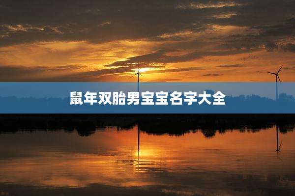 鼠年双胎男宝宝名字大全