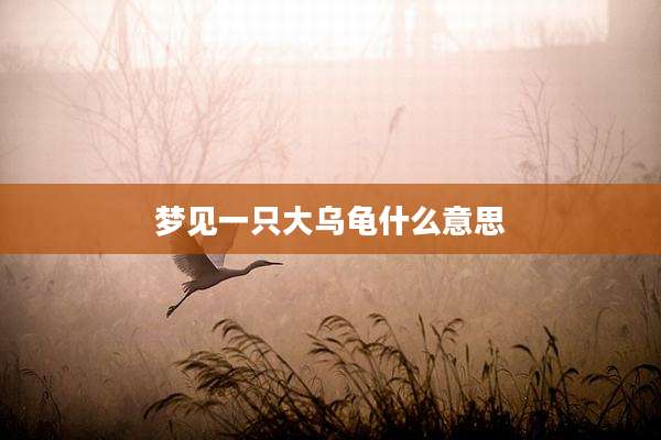 梦见一只大乌龟什么意思