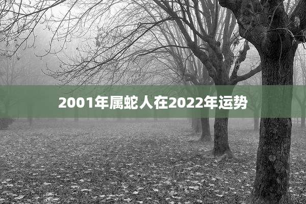 2001年属蛇人在2022年运势