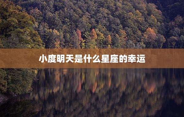 小度明天是什么星座的幸运