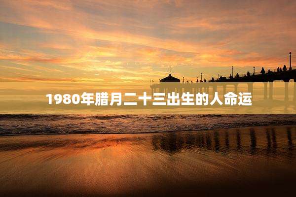 1980年腊月二十三出生的人命运