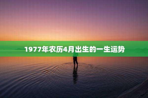 1977年农历4月出生的一生运势