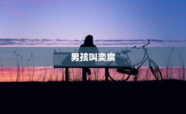 男孩叫奕宸