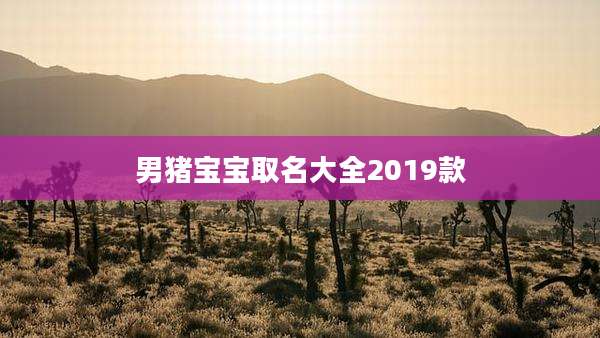男猪宝宝取名大全2019款