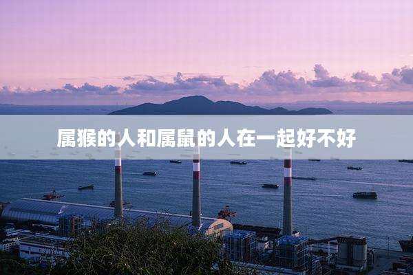 属猴的人和属鼠的人在一起好不好