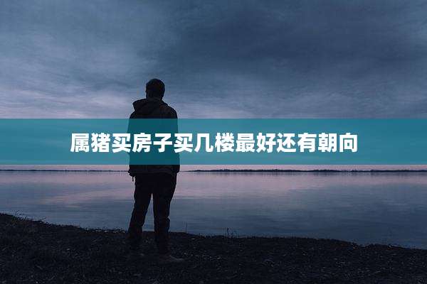 属猪买房子买几楼最好还有朝向