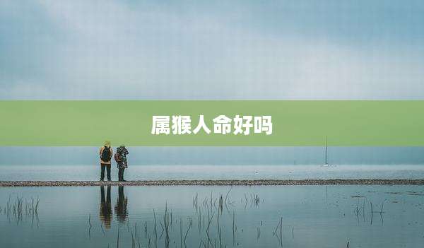 属猴人命好吗