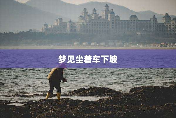 梦见坐着车下坡