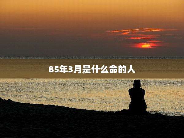 85年3月是什么命的人