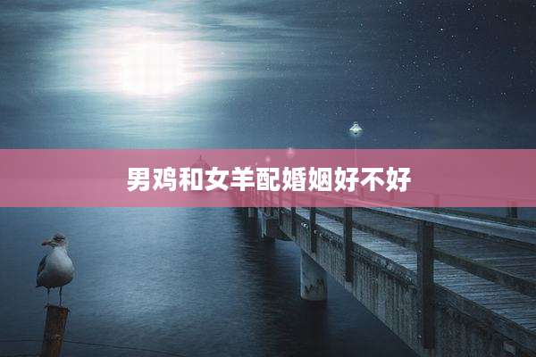 男鸡和女羊配婚姻好不好