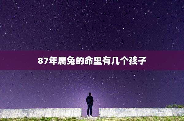 87年属兔的命里有几个孩子