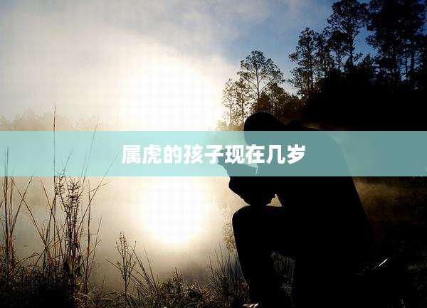 属虎的孩子现在几岁