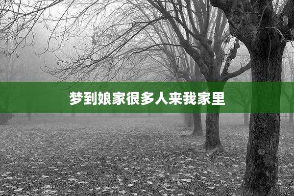 梦到娘家很多人来我家里