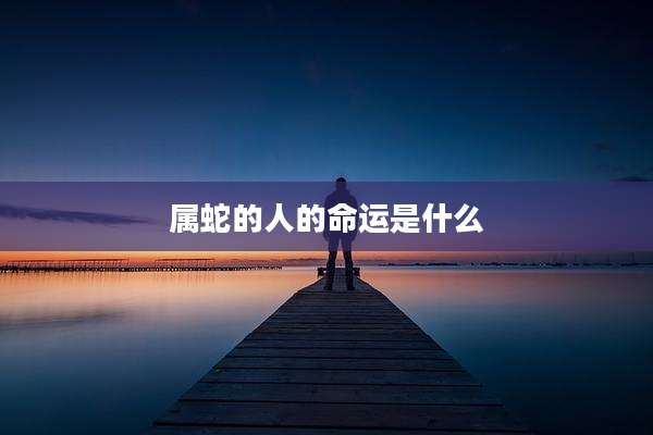 属蛇的人的命运是什么