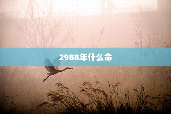 2988年什么命