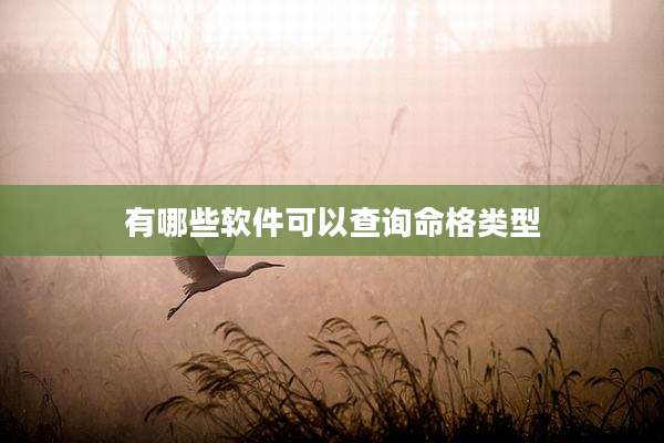 有哪些软件可以查询命格类型