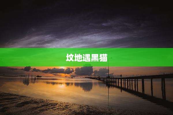 坟地遇黑猫