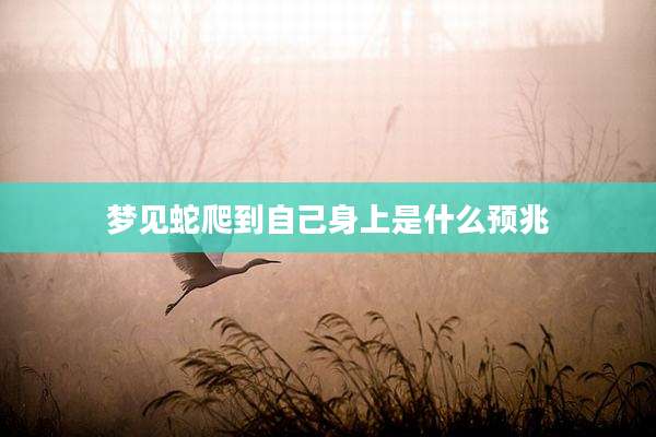 梦见蛇爬到自己身上是什么预兆