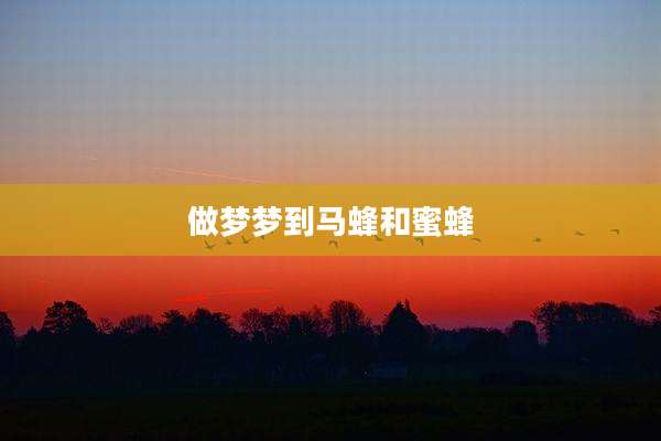 做梦梦到马蜂和蜜蜂