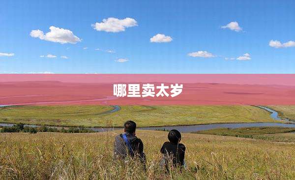 哪里卖太岁