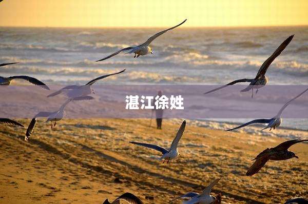 湛江徐姓