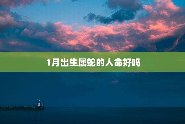 1月出生属蛇的人命好吗