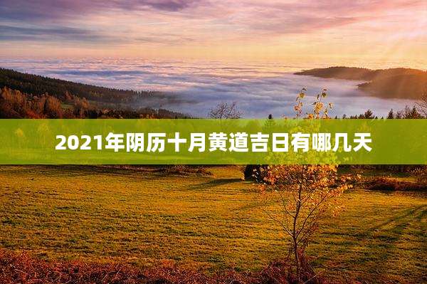 2021年阴历十月黄道吉日有哪几天