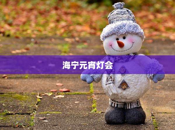 海宁元宵灯会
