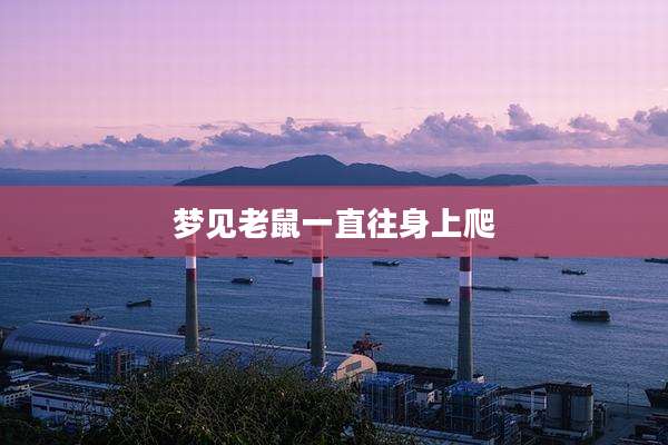 梦见老鼠一直往身上爬