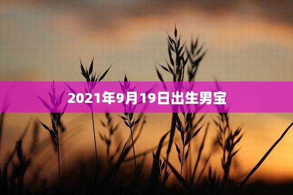 2021年9月19日出生男宝